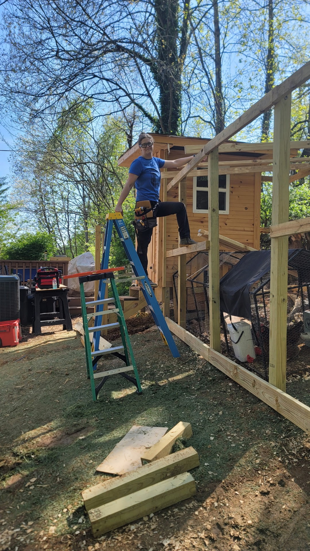 Amanda on a ladder building a backyard chicken coop